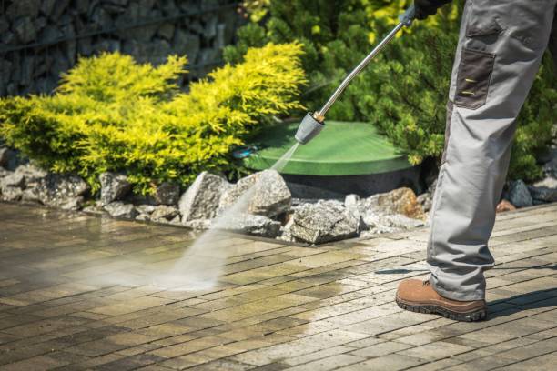 Best Soft Washing for Delicate Surfaces in Jonesville, VA