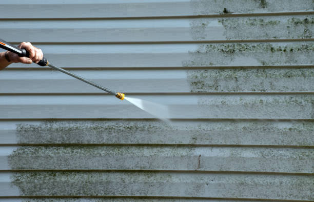 Best Roof Cleaning and Mildew Removal in Jonesville, VA